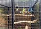 非錆つく溶接された鋼線の網の動物園の動物のエンクロージャの金網10m30m