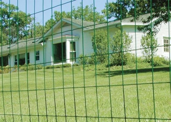 緑は0.35mm-6mmに塗ったロールスロイスの反老化の囲を金網ために金網ロールが溶接した