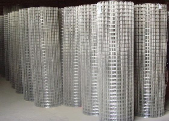 15m 20m 30m ステンレス鋼で溶接されたワイヤ網 鶏の檻やフェンスとして使用
