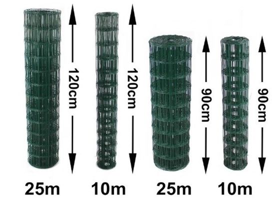 耐腐食性PVCコーティング 溶接線網 0.5mm-6.0mm 線直径