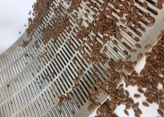 工業用スクリーニング用 磨きされた孔状金属片