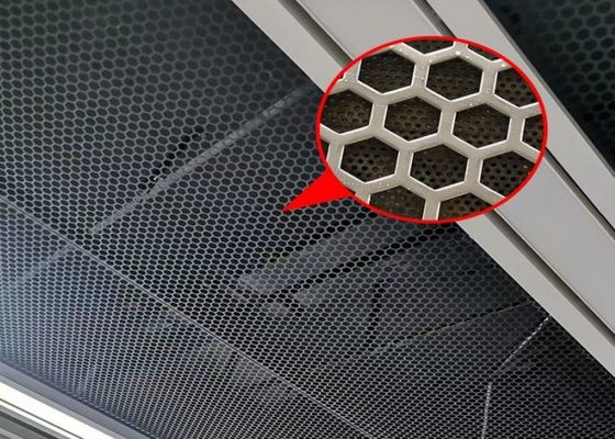 独自のプロジェクト要件のためのカスタムデザイン孔状網膜