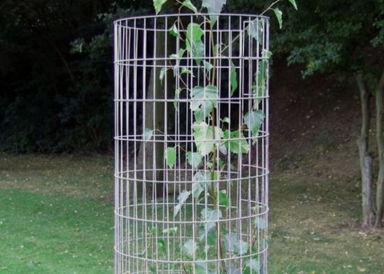 ISO9001 SS304 SS201のプラスチック上塗を施してある金網は植物のサポートのためにパネルをはめる