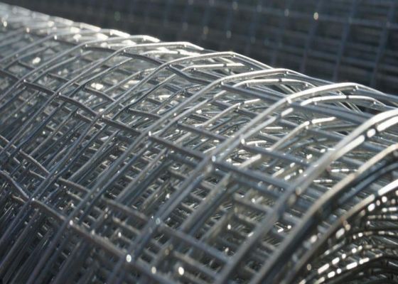 1mm-3mmの熱い浸された電流を通された溶接された金網の動物のおりのさびない金網